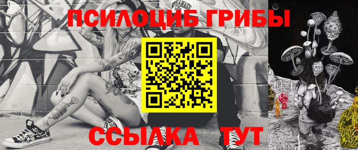 Коломна  Галлюциногенные грибы GOLDEN TEACHER  Вход с VPN 
